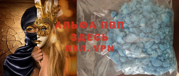 сатива Аркадак