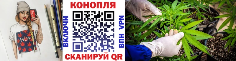 Канабис White Widow где купить наркоту дарк нет какой сайт Краснообск